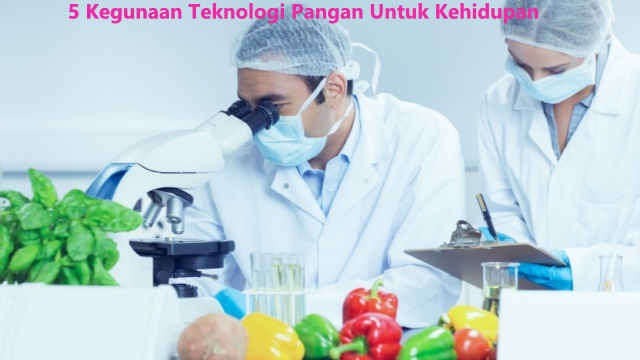 5 Kegunaan Teknologi Pangan Untuk Kehidupan